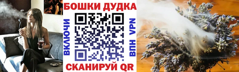 Канабис ГИДРОПОН  Купить где  Задонск 